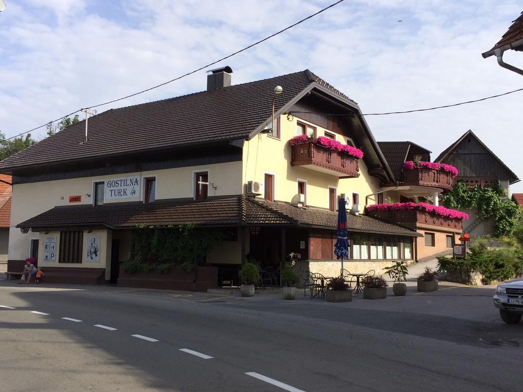 Gostilna Turk Hotel Hotedrsica Kültér fotó